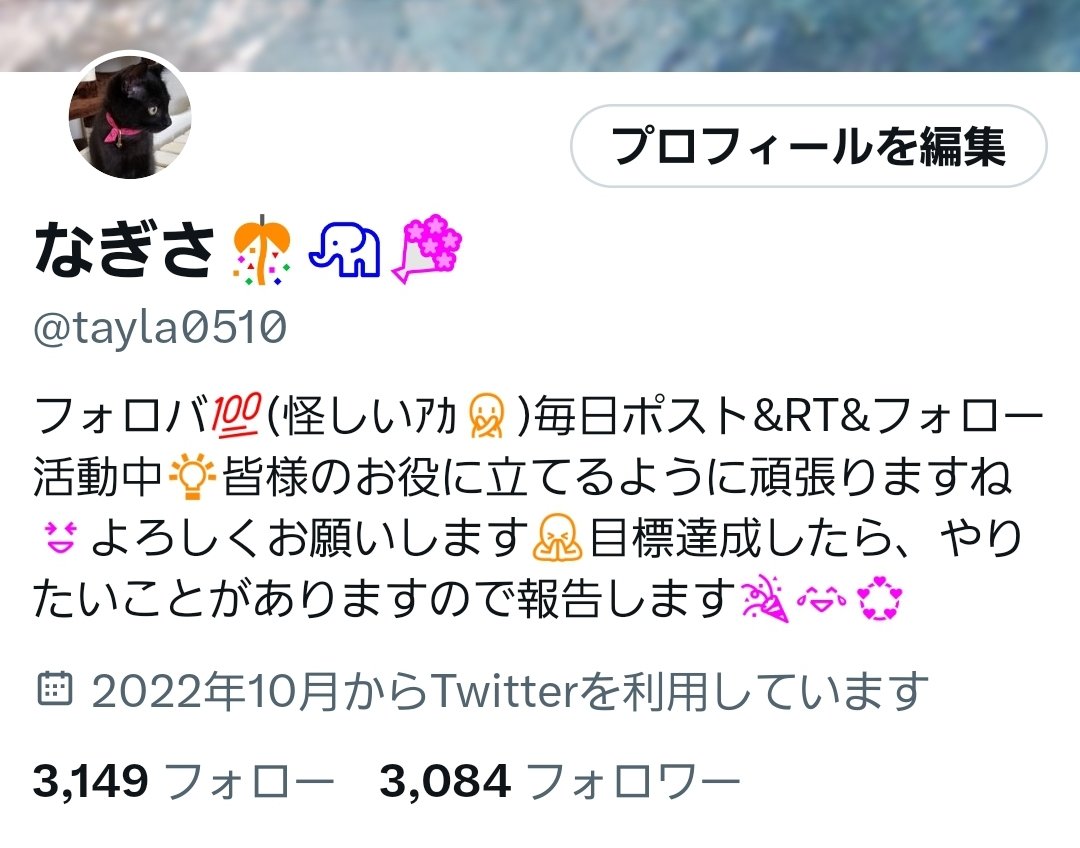 こんにゃくうお。/イラストレーター tweet media