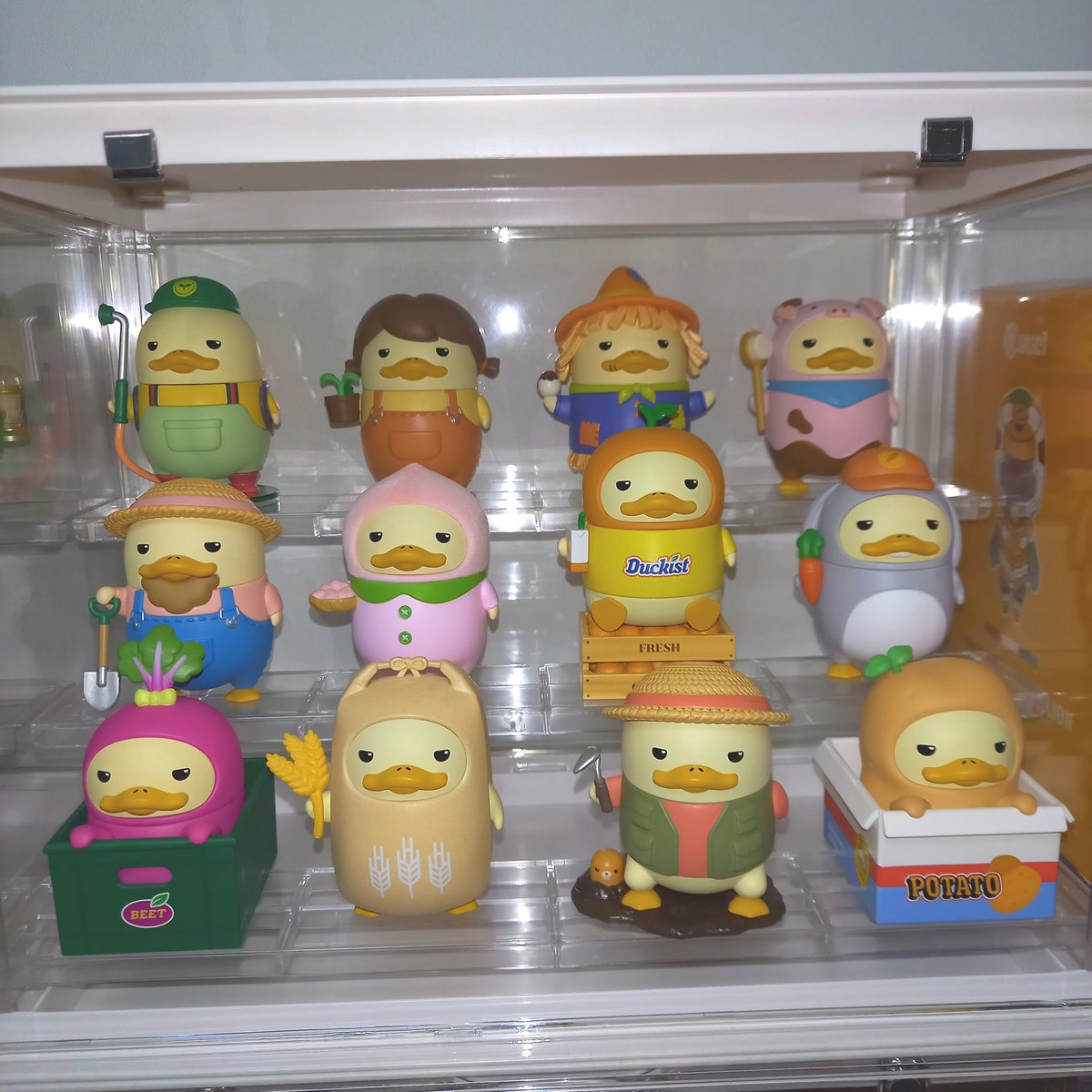 1787ty's tweet photo. かかかかかかかかか可愛いすぎんだろォォおぉぉいッ(*ﾟДﾟ*)✨️笑
DUCKOOってこんなに可愛いかったんやなぁ😊
アソートして正解👍💯💮

あっ！開封しました～ヽ(*´∀`)ﾉ
#POPMART大好き
#DUCKOO https://t.co/32fGzsWUix