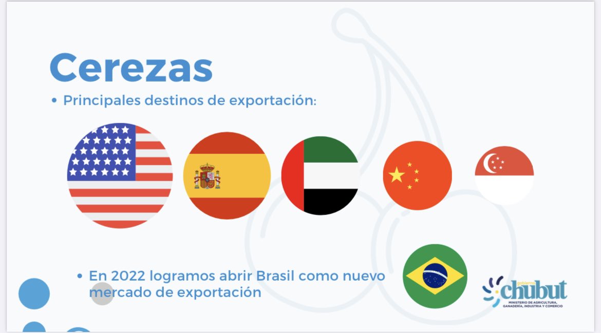Leandro Cavaco tweet media