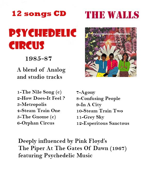 The Walls Psychedelic music