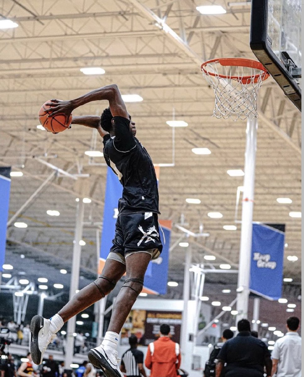 Brian Petruzzelli tweet media