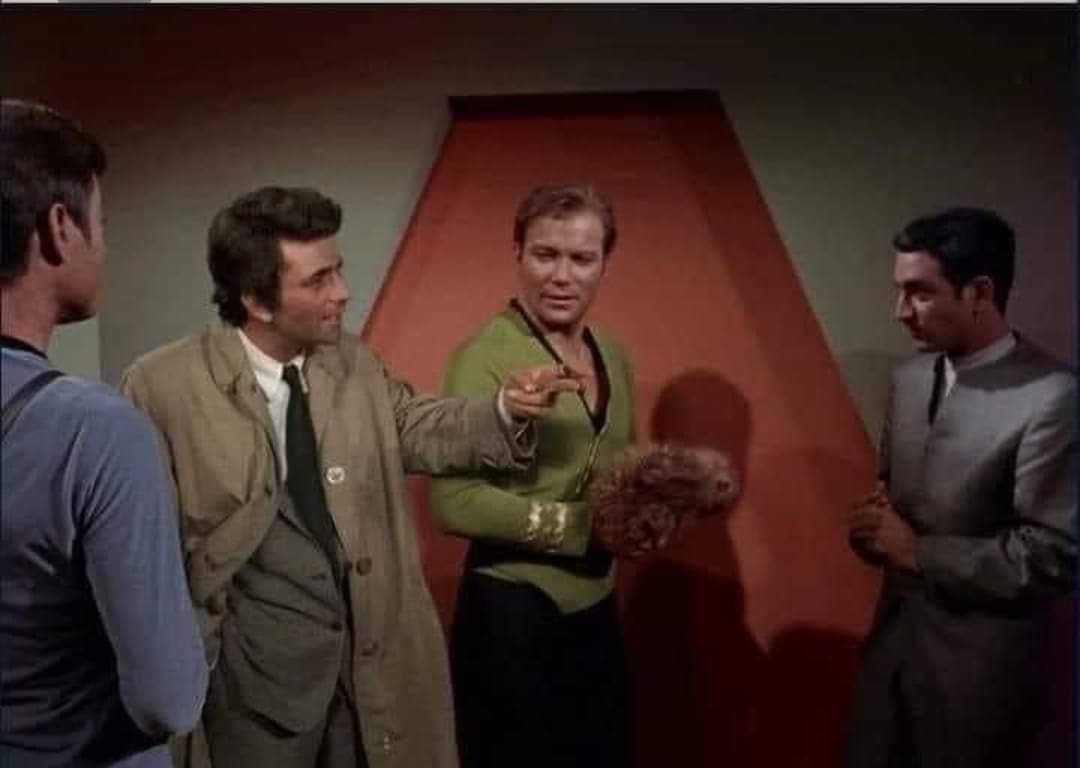 GaryGorn's tweet photo. There's just one more thing Mr. Darvin...
#StarTrek #Columbo #McCoy #Kirk #ArneDarvin #InspectorColumbo #TOS #StarTrekTOS #LAPD #PeterFalk #WilliamShatner #CharlieBrill #MrSpock #Enterprise #NCC1701 #Fun #Funny #Trekkie https://t.co/TkRV1g5O4D