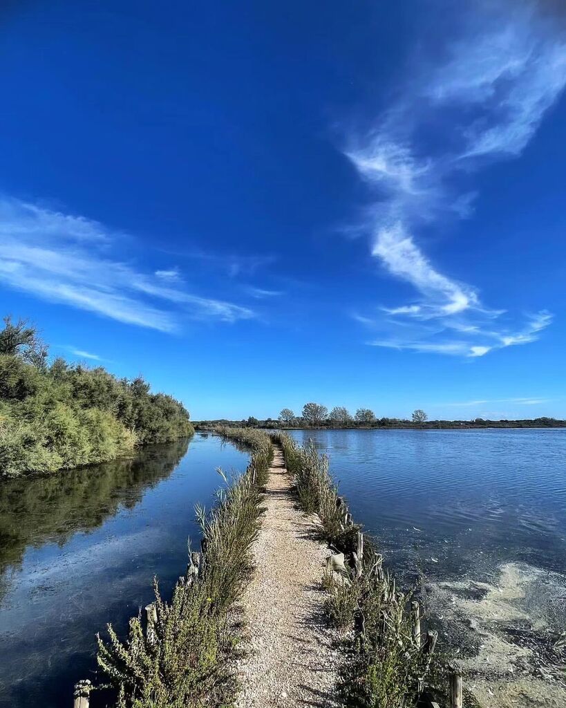 Instagramers Ferrara (@igers_ferrara) on Twitter photo Oggi ripostiamo: @simobaldi17
Selezionatore: <a href="/gsoattin/">Gabriele Soattin</a>
Admin: <a href="/skynet70/">Barbara Lunghi</a>
Hashtag #igersferrara
Luogo: Oasi Canneviè - Porticino
______
Continua ad usare il nostro hashtag #igersferrara, le tue foto e i tuoi video potrebbero essere condivisi sul nostro account nazionale <a href="/wea/">weeautami</a>… Oggi ripostiamo: @simobaldi17
Selezionatore: <a href="/gsoattin/">Gabriele Soattin</a>
Admin: <a href="/skynet70/">Barbara Lunghi</a>
Hashtag #igersferrara
Luogo: Oasi Canneviè - Porticino
______
Continua ad usare il nostro hashtag #igersferrara, le tue foto e i tuoi video potrebbero essere condivisi sul nostro account nazionale <a href="/wea/">weeautami</a>…
