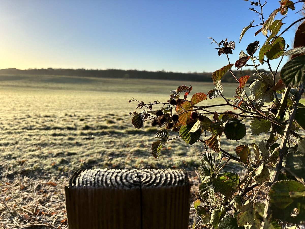 Run Kent UK tweet media