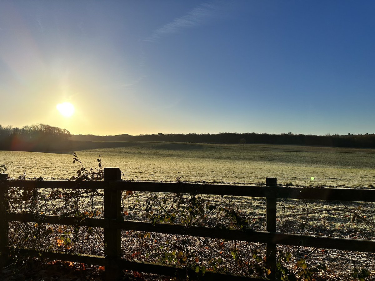 What a glorious chilly morning for a #Trailrun… how do you get motivated when it’s sub-zero? 🥶 

#ukrunchat #explorekent #trailrunning #running #visitkent #runner