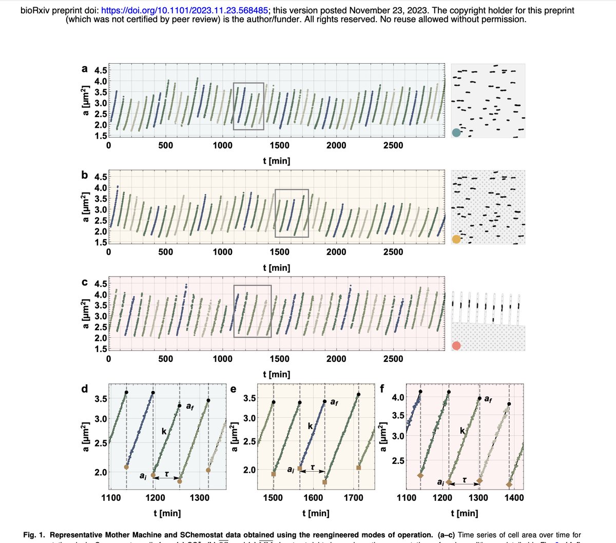 Purdue Physics&Astro tweet media