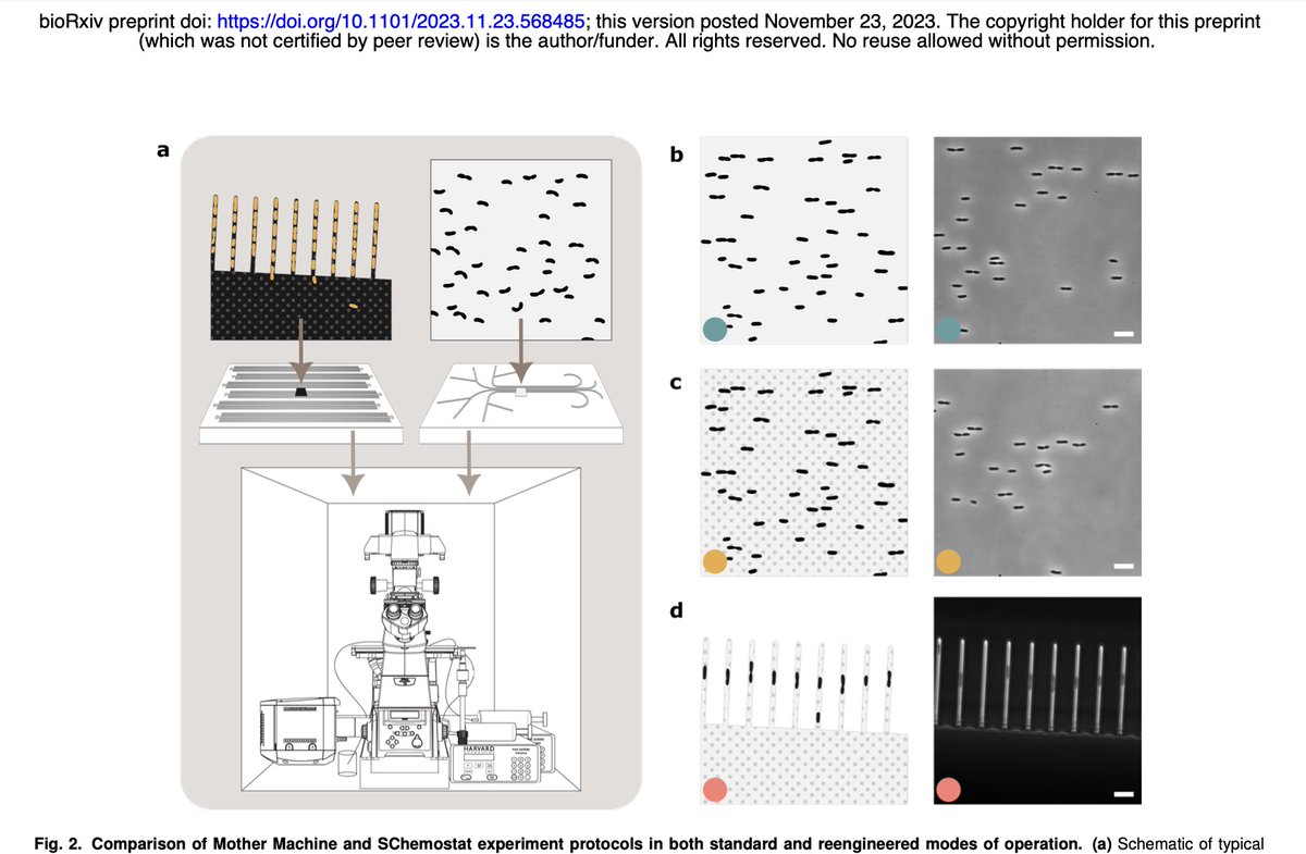 Purdue Physics&Astro tweet media