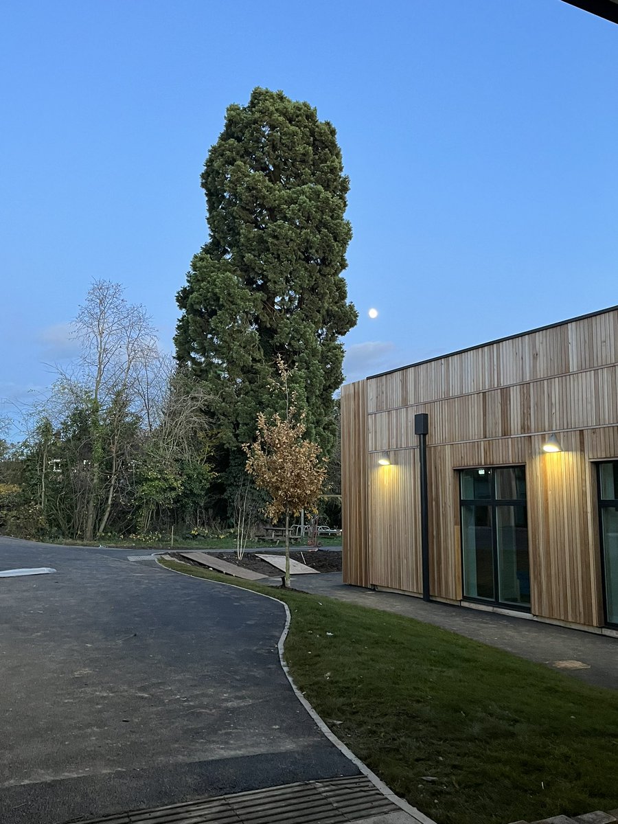 St Mary's tweet media