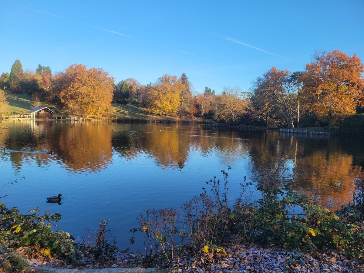 JaynaMarsh's tweet photo. Beautiful morning at Dunorlan park at @RTWparkrun this morning https://t.co/N5aafyp8s2