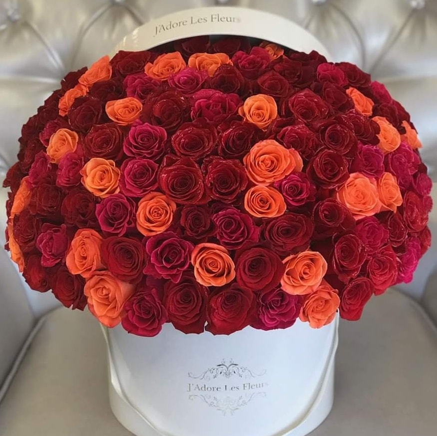<a href="/silviasebille/">❤️Silvia S ❤️Amo los 👒</a> Happy Saturday Silvia.
🌹