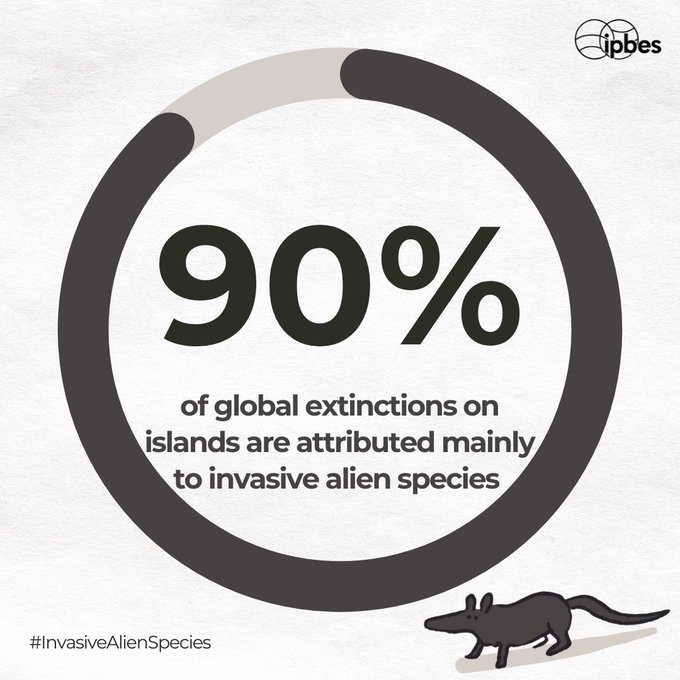 #DYK Invasive alien species are most damaging on islands?

The number of alien plants now exceeds the number of native plants on more than 25% of all islands.🏝️

—<a href="/IPBES/">ipbes</a> #InvasiveAlienSpecies Report

🔎ipbes.net/IASmediarelease

Via <a href="/IPBES/">ipbes</a>
