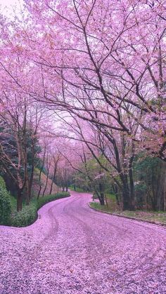 jingjing138094's tweet image. #NaturePhotography #beautifulweekend