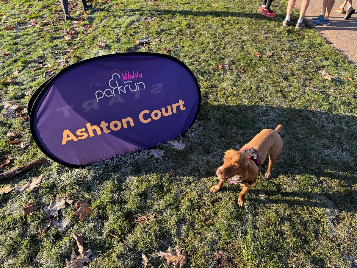 john_gleave's tweet photo. Another ⁦@parkrunUK⁩ ⁦⁦@ashtonctparkrun⁩ for 2 and 4 legs, with the addition of a hot air balloon prior to the run https://t.co/ElswHcNtd3