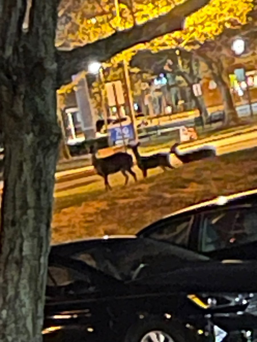 [#OX]

오앙 😝😎

#OMEGA_X #오메가엑스
#제현 #JEHYUN