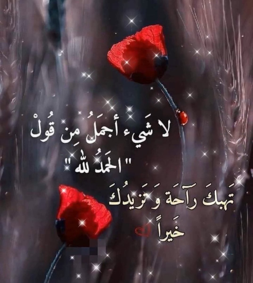 🍃

الحمدللَّۿ #حين نحزن •الحمدللَّۿ حين نفرح •الحمدللَّۿ حين نمرض •الحمدللَّۿ حين تضيق بنآ الدنيآ •#والحمدللَّۿ فوق كل شعور • الحمدلله

#الحمدلله_دائماً_وابداً✨