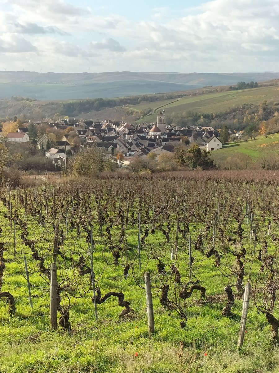 ClaireMarc89's tweet photo. #Irancy, 25/11/2023.
🚴 #FallLovers #VignobleIcaunais #Yonne89 https://t.co/LgRII8juSJ