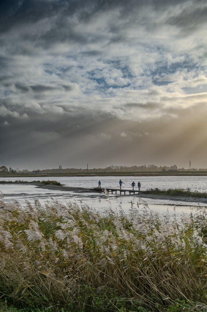 De crezeepolder tussen de buien door.

#streekpromotie #buitenlevenfotograaf