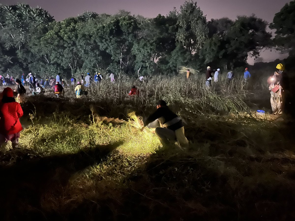 SigmaSixQV's tweet photo. Fun working together and living a farmer’s life for a few hours everyday. Completing today’s fieldwork at #Dayalbagh fields harvesting Cluster beans (ग्वार). A community meeting and exceeding agri-fields targets everyday. Night can wait! https://t.co/2LUfSRnLrw