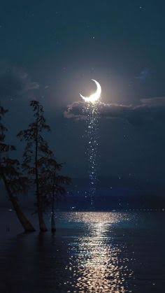 “There are times when silence is a poem.” #JohnFowles  ✨💫✨💫
Wishing everyone a beautiful and relaxing Saturday evening. Take care. 💫✨🌟🪵🌾🌙🦇🌺🍂🕊️🤍✨💫🪵💛