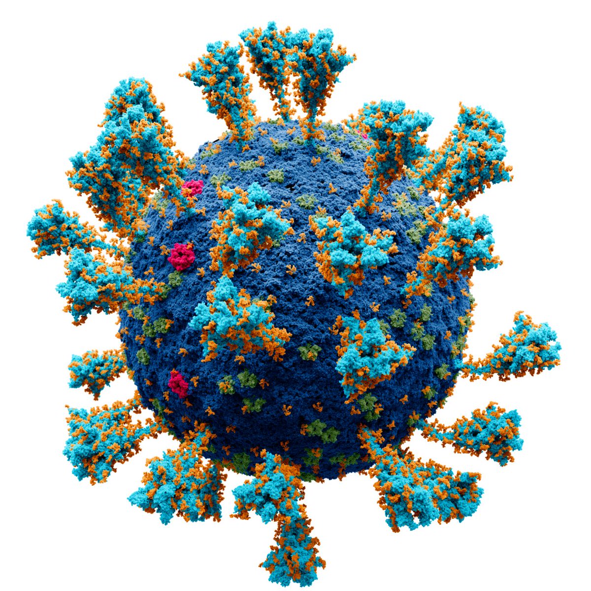X_On_This_Day's tweet photo. 2021 – COVID-19 pandemic: The World Health Organization identifies the SARS-CoV-2 Omicron variant.
#OnThisDay #26Nov #Covid #omicron #variant #SARSCov2 #Pendamic #China https://t.co/l88IhZaXrY