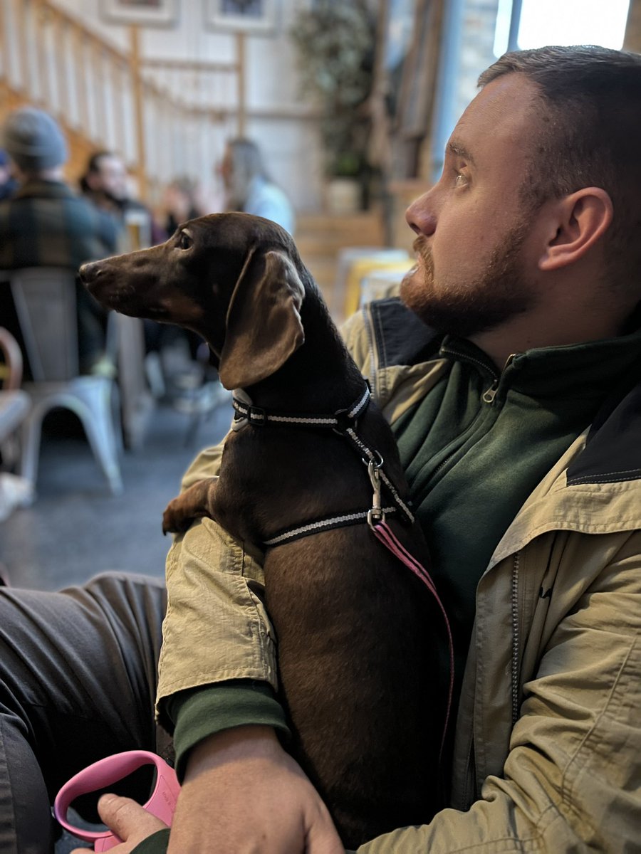 Amy Dodds tweet media