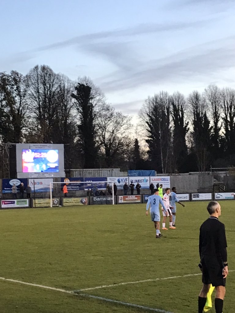 Tom Freeman tweet media