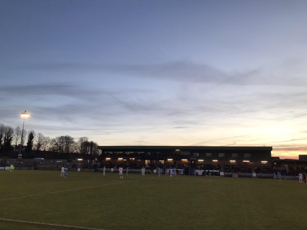 Tom Freeman tweet media