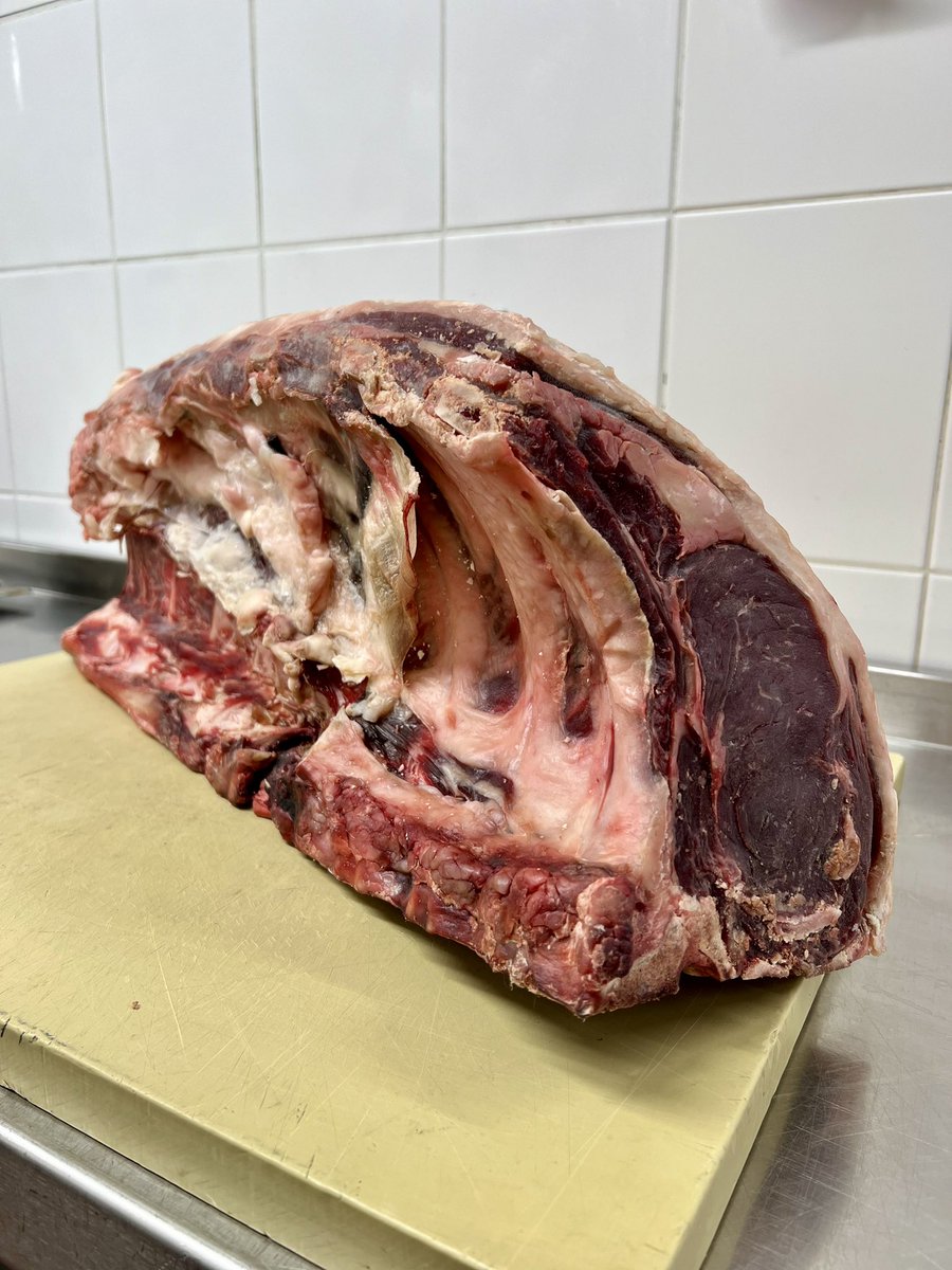 Will Holland tweet media