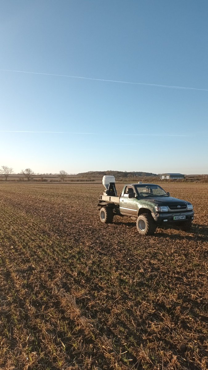 Harry Waudby tweet media