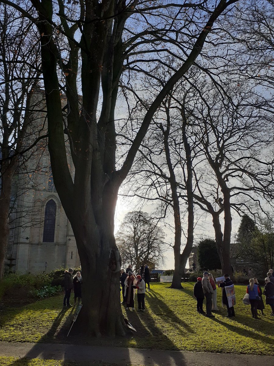 greenbeltsal's tweet photo. Glad we got 2 #RiponTrees protest eventually
๐กTraffic issues #York
Lots of visitors 2 the @riponcathedral #ChristmasFair will have seen all the posters,will have signed the petition in the shop named
#Karma #Kirkgate
There has 2B a way around this problem @northyorksc
๐ https://t.co/aukKklaasE
