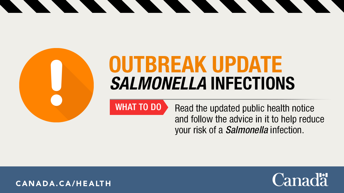 GovCanHealth's tweet image. OUTBREAK UPDATE: Do not eat Malichita or Rudy brand #cantaloupe. These products are the likely source of 63 Salmonella illnesses in 5 provinces. An updated food recall warning has been issued.

Stay informed: ow.ly/q0Vu50QbcUG