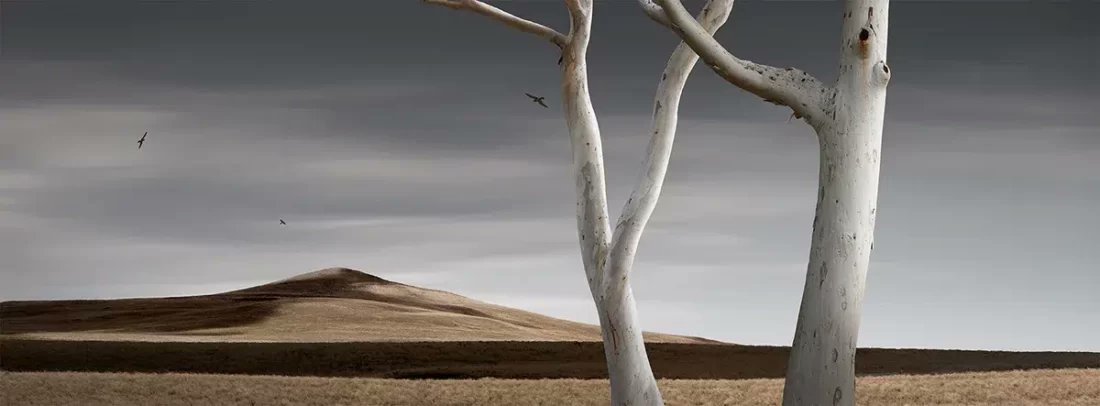 Dancing Ghosts by Allen Koppe
Honorable Mention Winner,  Photomanipulation Category.
More info:
MinimalistPhotographyAwards.com

#minimalistphotographyawards #minimalphotos #minimalism