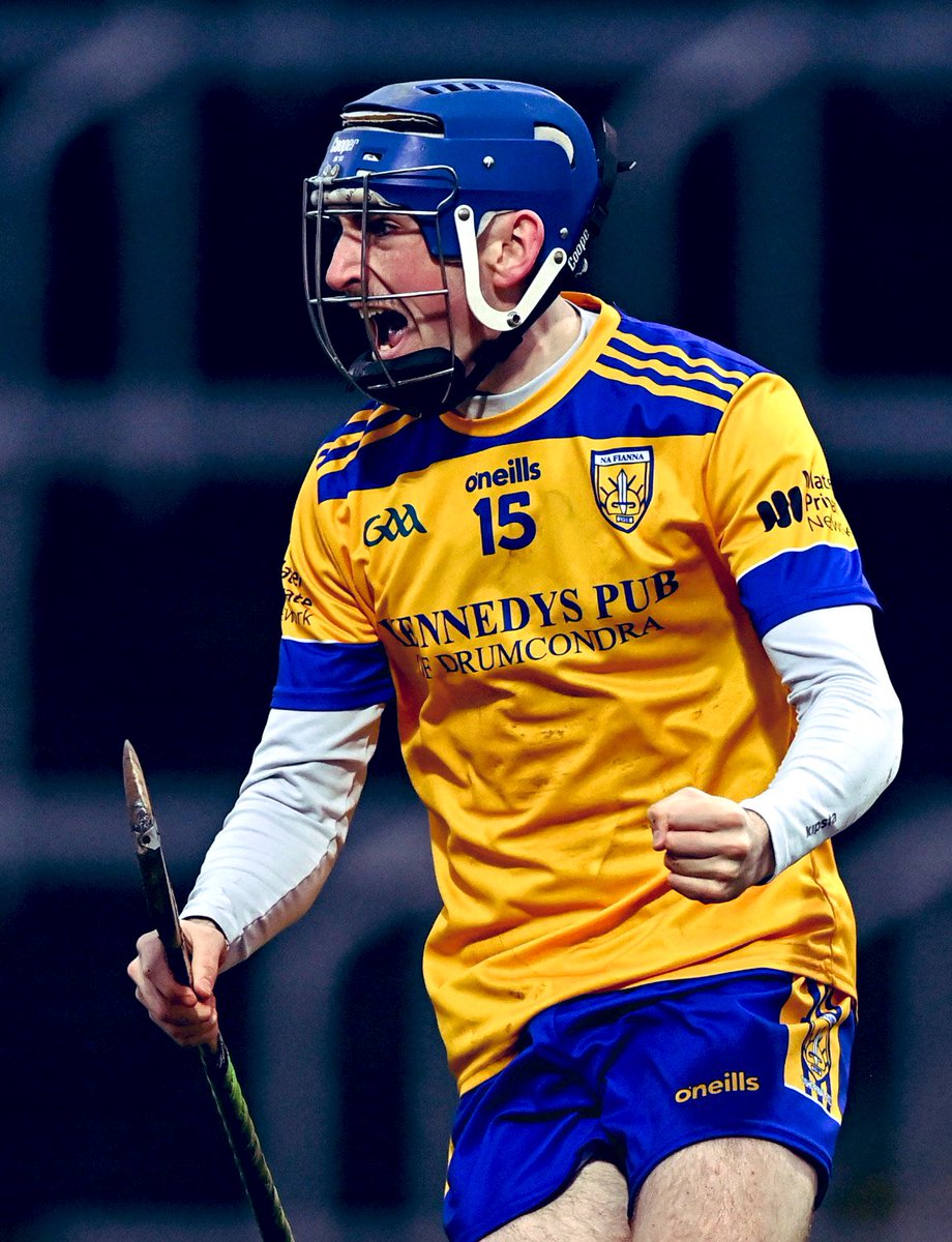 Leinster GAA tweet media