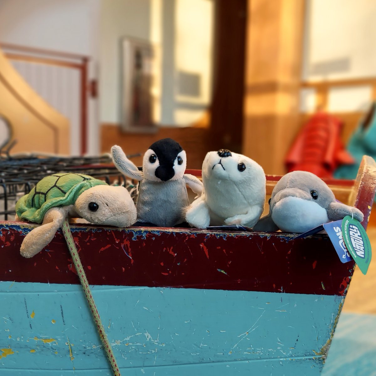 Discovery Museum tweet media