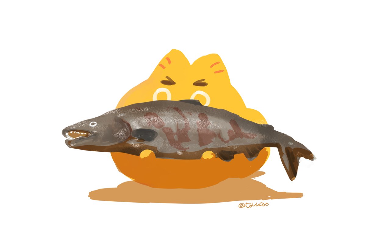「鮭」|とぶ子のイラスト