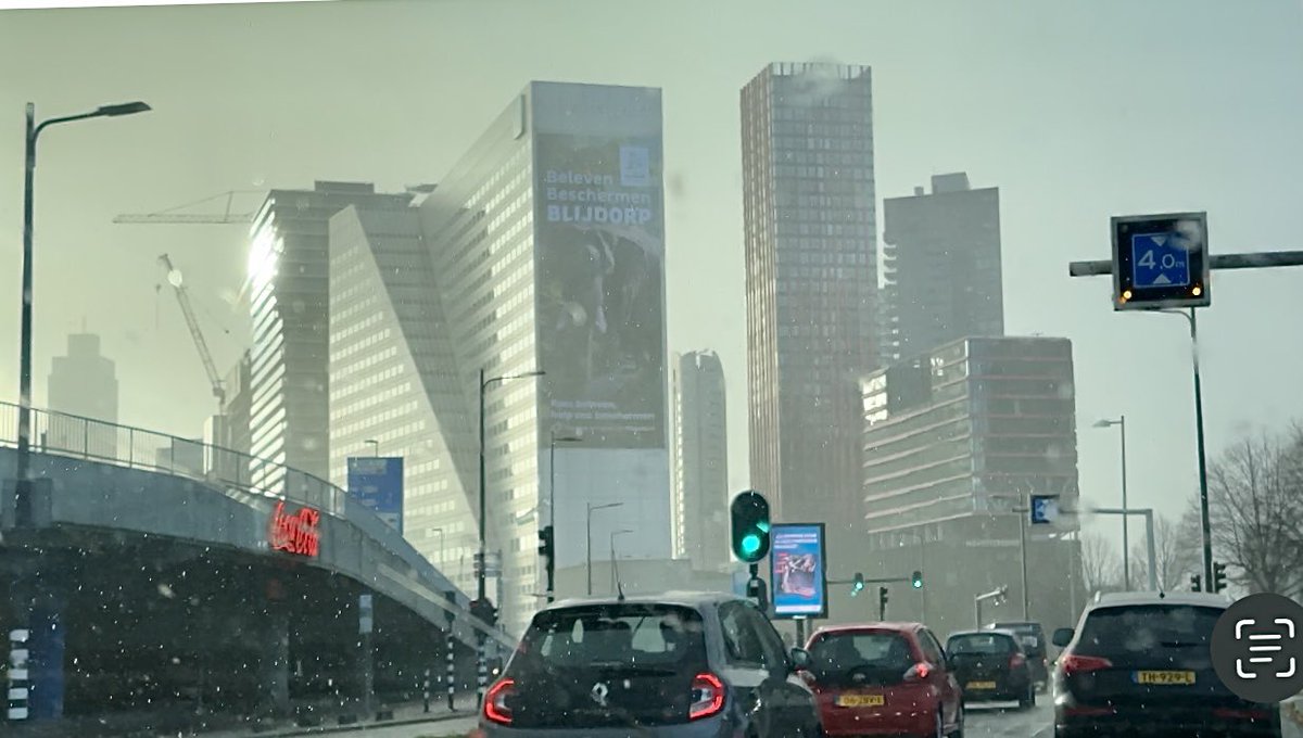 jaapmodder's tweet photo. My #picoftheday pics and I took them yesterday https://t.co/zdmL2bVTgO