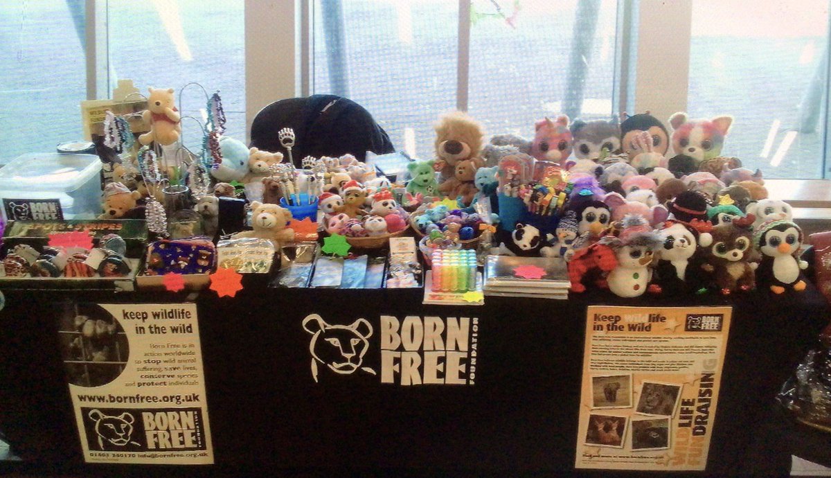 DonnaM333's tweet photo. Thank you to everyone who came along today and supported my stall in aid of the fabulous @BornFreeFDN at @stmargaretsps.  Looking forward to more Christmas Fayres next week at @dennyprimsch @CarronPrimary and @bantaskinps Followed by @Francis_Xaviers then @KinnairdPSPC https://t.co/lgWI3Im57h