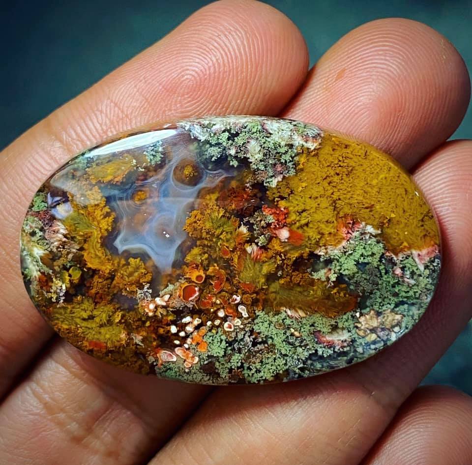 Fantastic Moss agate, Indonesia   

Photo: Chille Maulidhaa