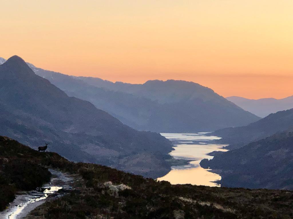 Ilona Turnbull tweet media