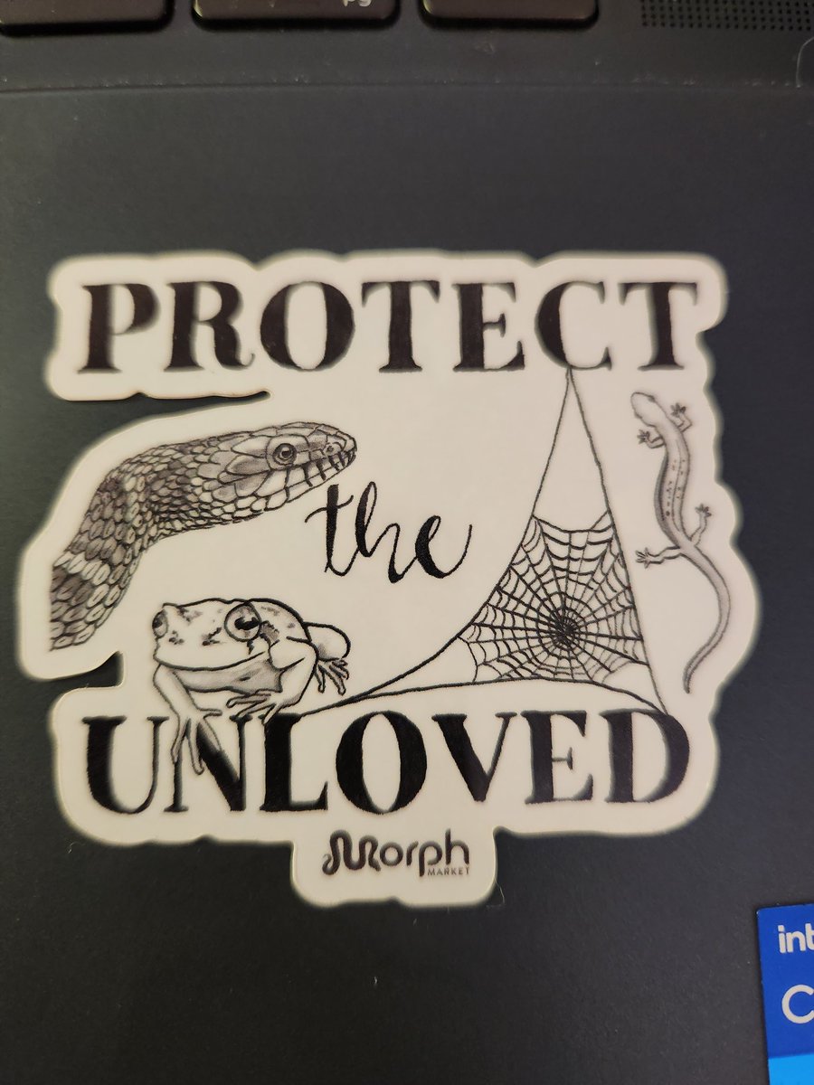 desemmet's tweet photo. @dubiaroaches Got my order from them and they always include epic stickers in their orders! Definitely a company I support!! Their feeders are high quality and you can get supplies! Love this shit. https://t.co/ZBCocNoLBa