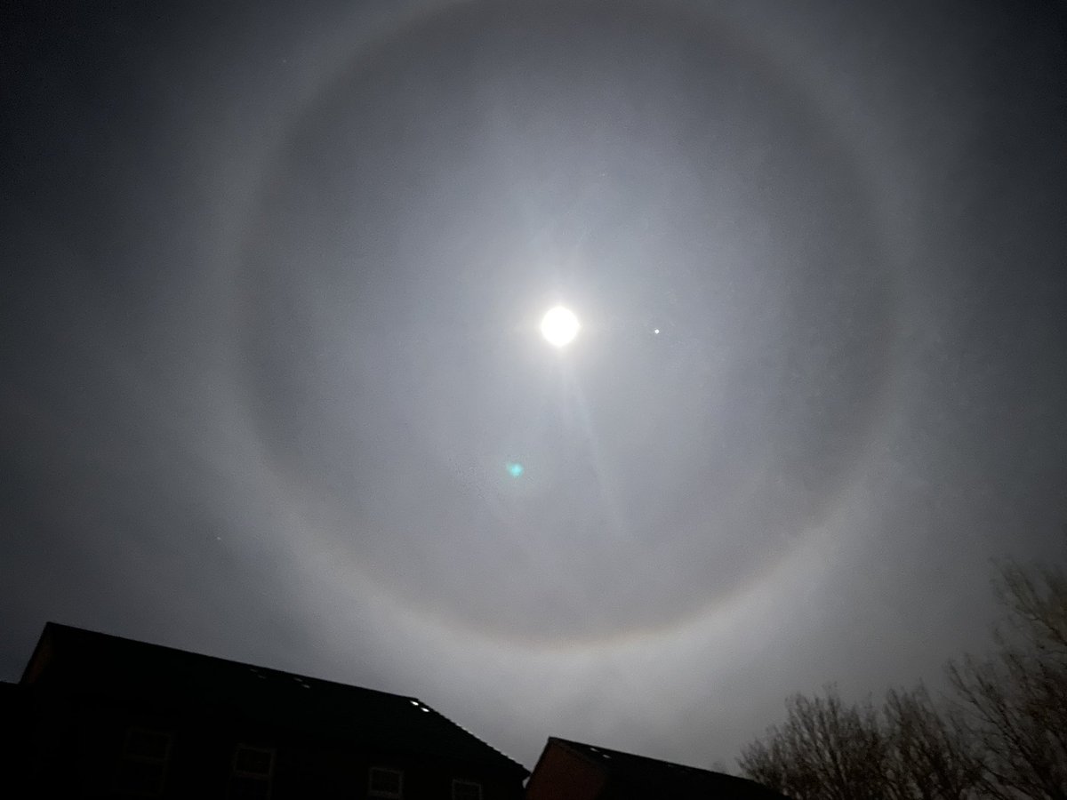 Natasha Junor tweet media