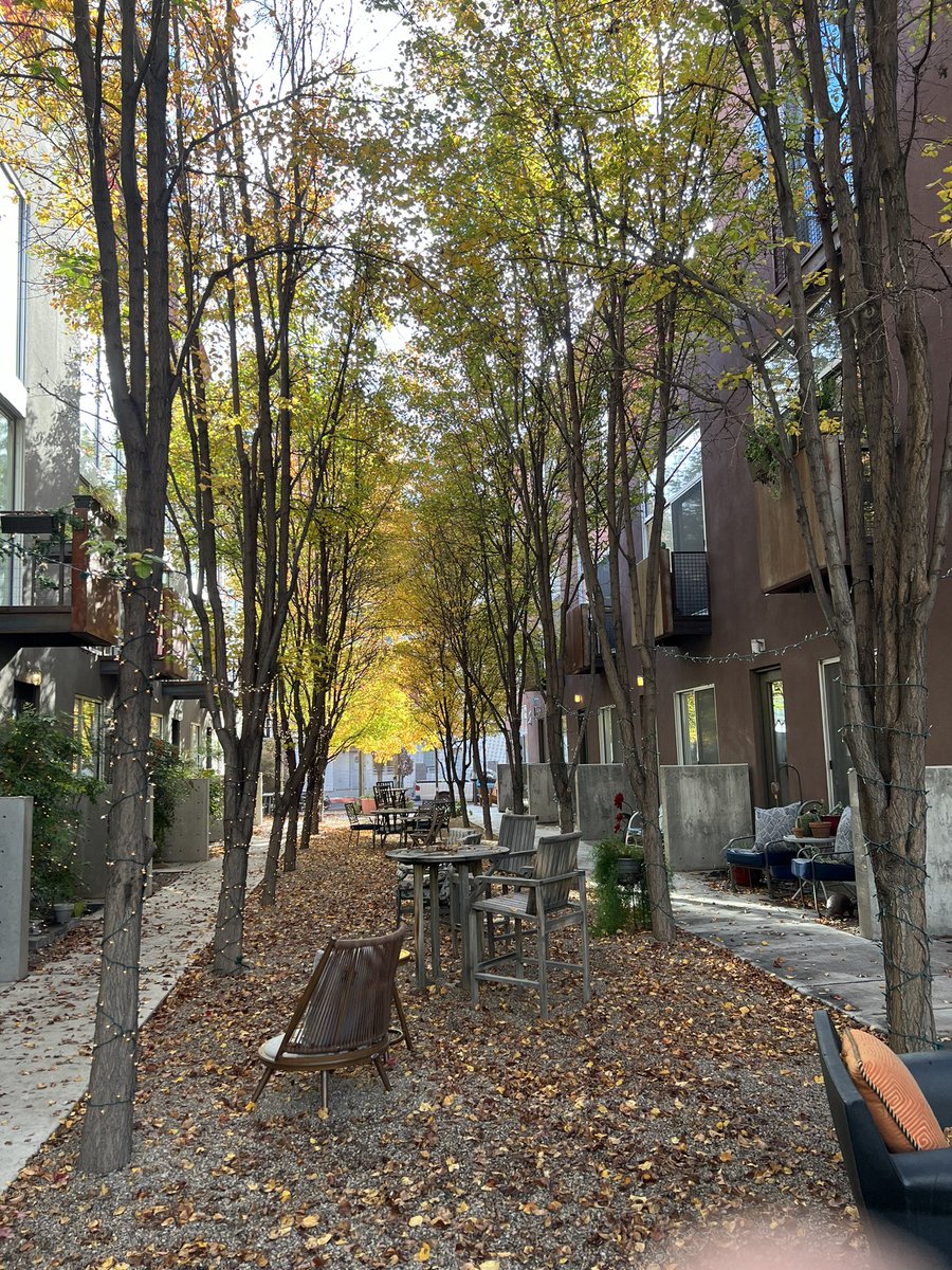 jay rembe tweet media