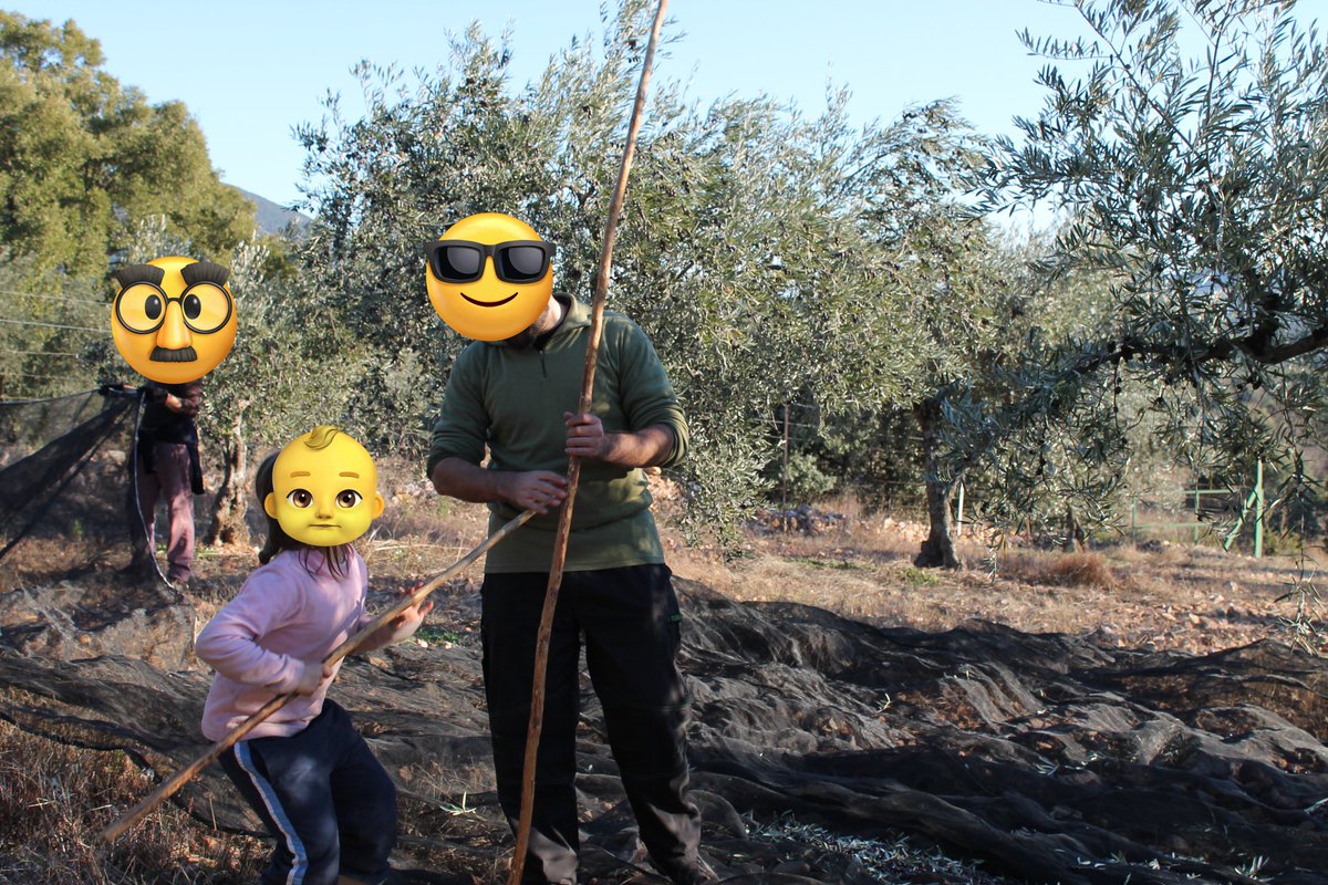 D3spertaferro's tweet photo. Lo mismo sirven pa varear que pa apuñalar...

Les das un palo y se vuelven salvajes...

#aceituna #aceitunero #aceite #jornalero #campo #agro #agroX #agricultura #rural https://t.co/qc60bKD1CP
