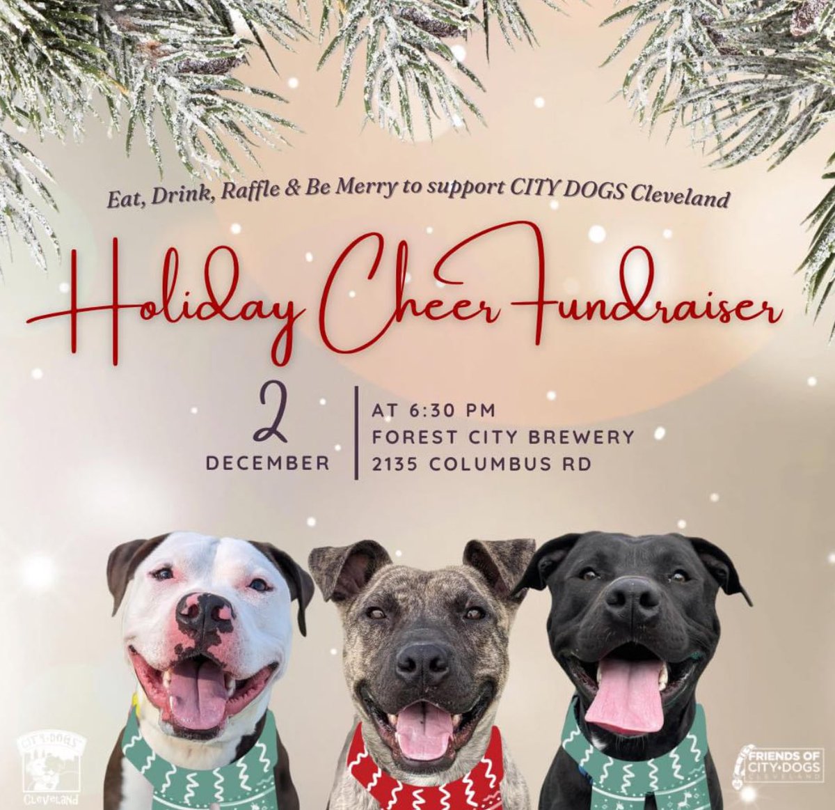 Our Holiday Cheer fundraising event is just one week away!

Join us on Saturday, December 2 to eat drink raffle &amp; be merry all for the love of CITY DOGS. ❤️

Get your tickets today! tinyurl.com/2023holidayche…