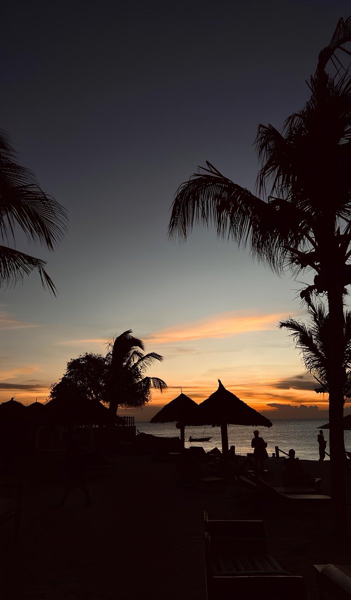 Coucher de soleil sur Zanzibar 🇹🇿🌅🌊