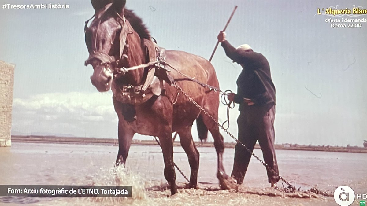 Vicent Baydal tweet media