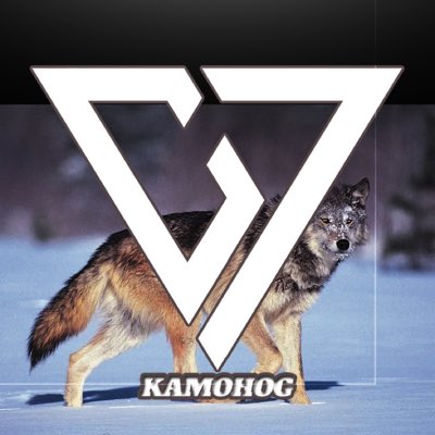 KamohOG's tweet photo. Owner @WeAreCryptic7 https://t.co/UPxopMAsvK