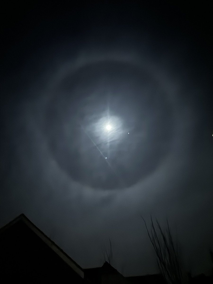 dcbrne (top 0.09% Onlyfans) tweet media