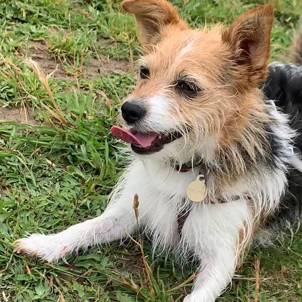 Sally Smith tweet media