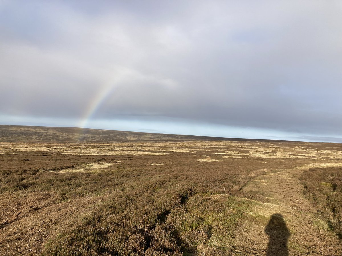 ratherbrunning's tweet image. Sunrise, snow showers and rainbows on todays run. A welcome return to winter - here’s hoping for some more white stuff to come! ❄️🏃🏼‍♀️💜 #nymoors #codbeck #longrunsaturday